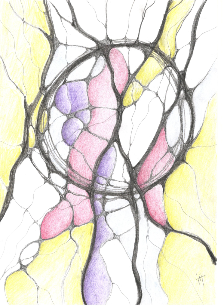 Neurographica workshop: stromen